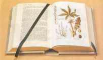Encyclopédie des plantes médicinales