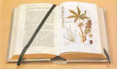 Encyclopédie des plantes médicinales